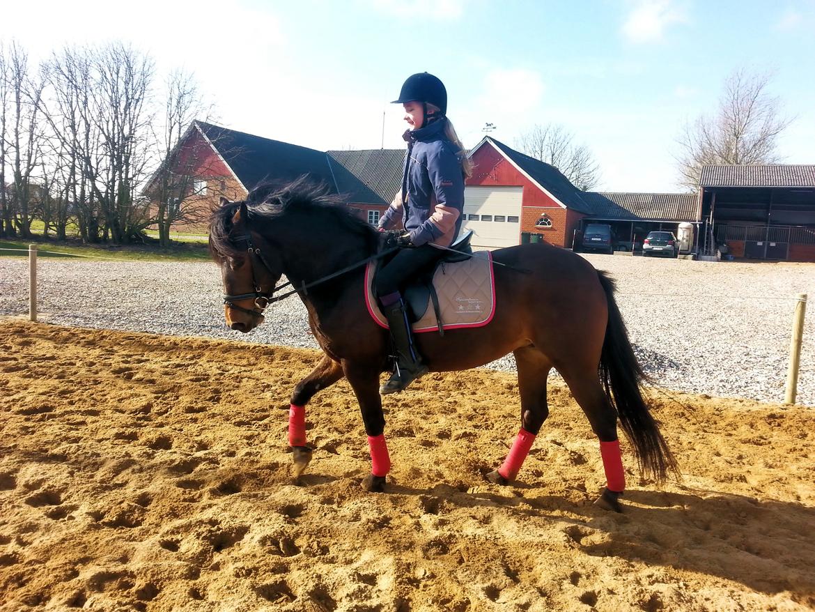 Anden særlig race MUFASJA *FASJA* søsters billede 8