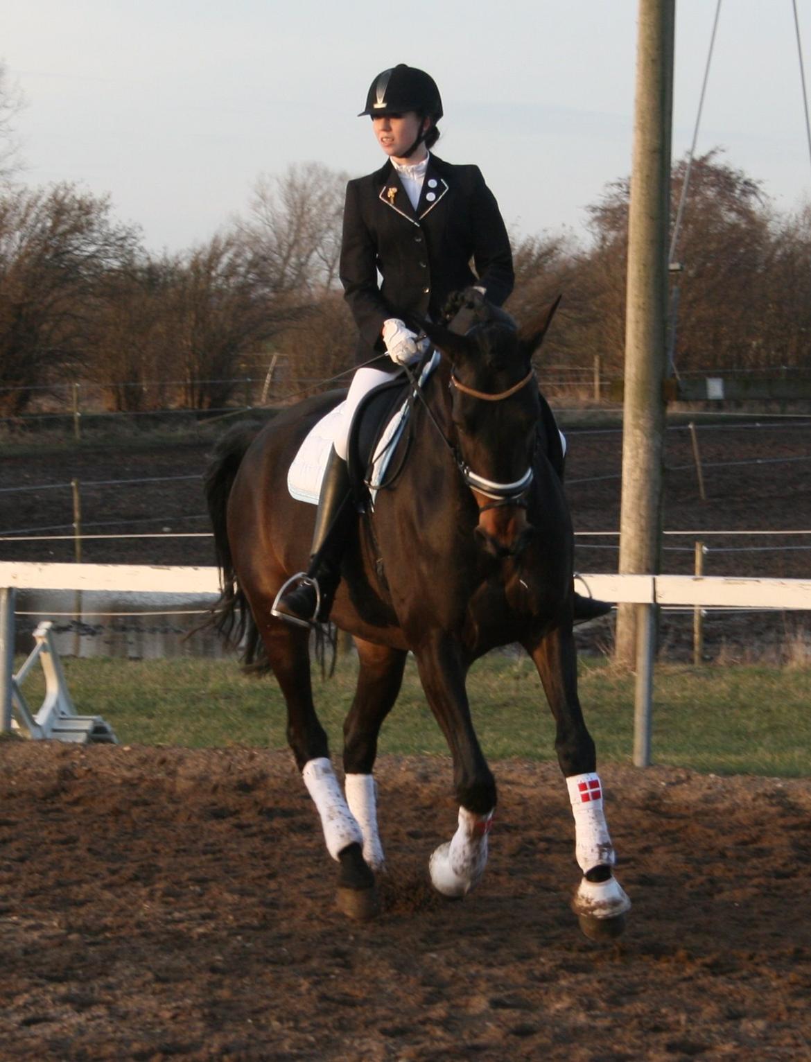 Anden særlig race Casino Royale(Black Star) - Vores sidste stævne sammen. LA1 <3 billede 3