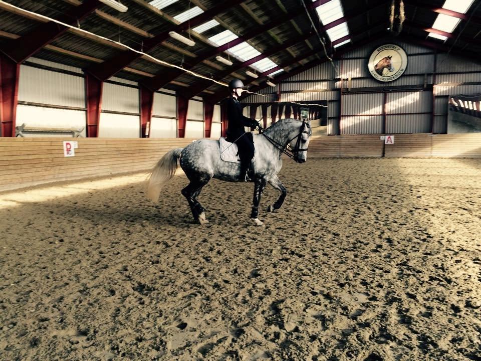 Anden særlig race Bech's Padraigh aka. Paddy :-) - Vi øver Piaff :-D 23.03.15 billede 12