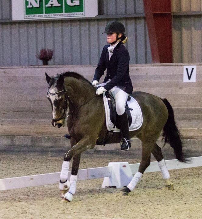 Tysk Sportspony Vämpy - Første C-stævne, 1 og 2 plads:D billede 17