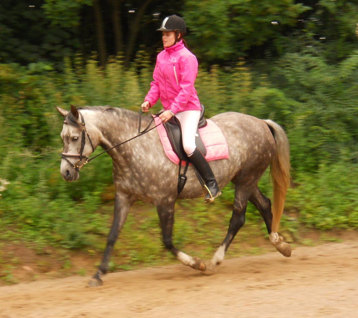 Anden særlig race Freja billede 5