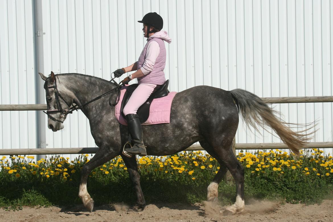Anden særlig race Freja billede 13