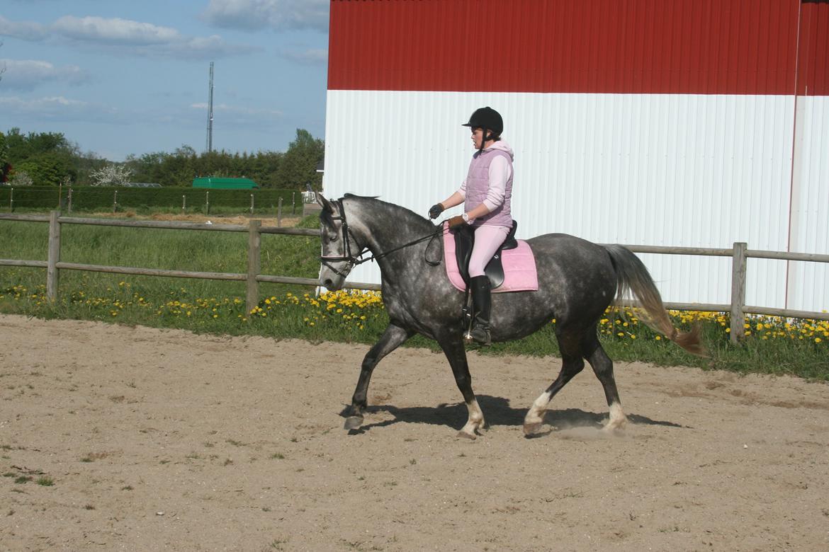 Anden særlig race Freja billede 14