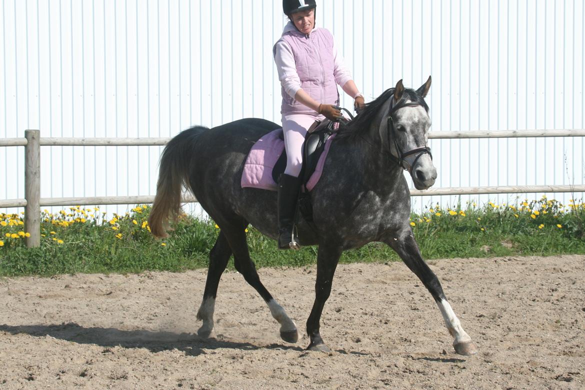 Anden særlig race Freja billede 15