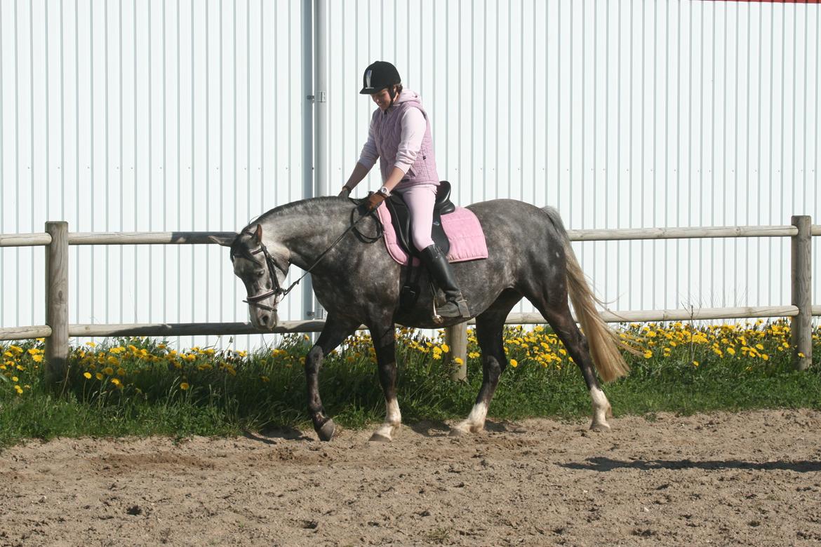 Anden særlig race Freja billede 16