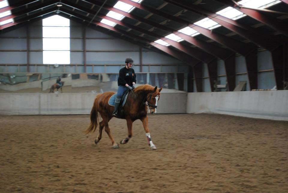 Anden særlig race FoxTrot billede 21