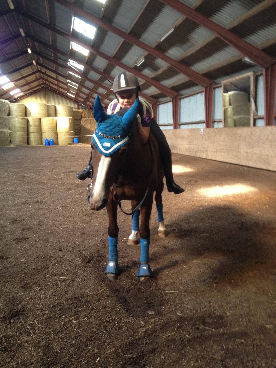 DSP Mølgårdens Lucas billede 13