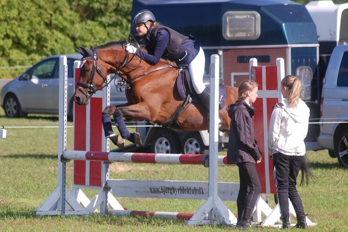 New Forest ORCHID'S PETER PAN  billede 7