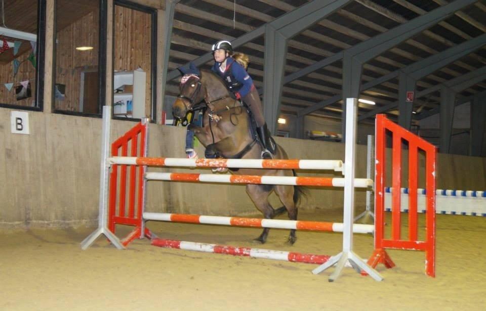 New Forest ORCHID'S PETER PAN  billede 12