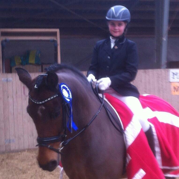 New Forest ORCHID'S PETER PAN  billede 14