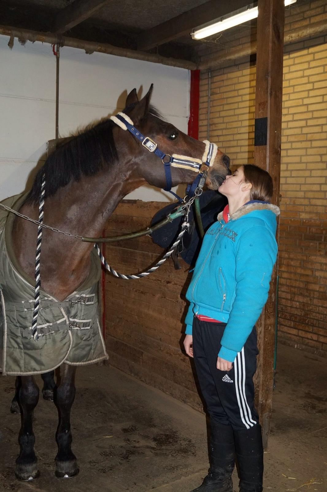 New Forest ORCHID'S PETER PAN  billede 18