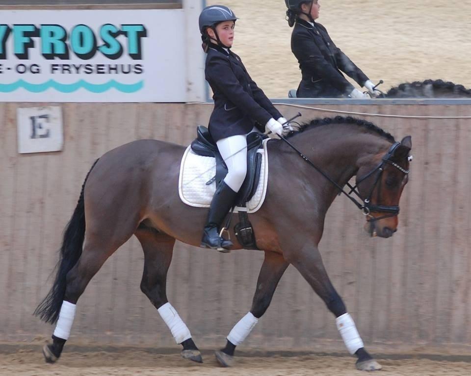 New Forest ORCHID'S PETER PAN  billede 5