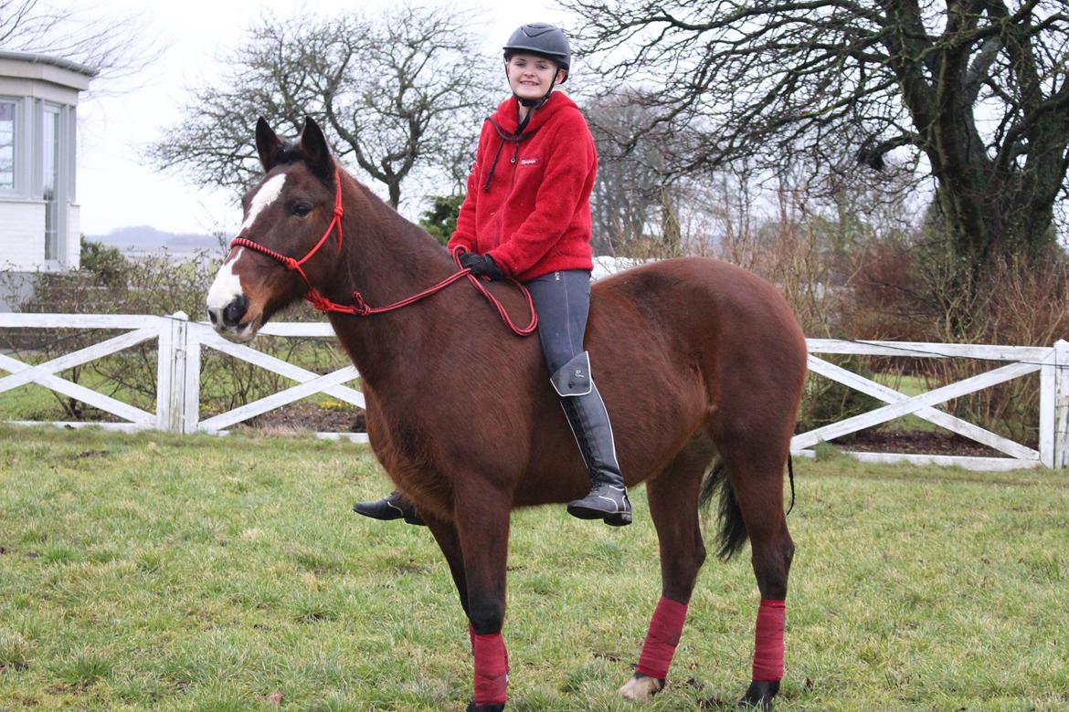 DSP Ronja  - Vi red i rebgrime - februar 2015 <3 billede 17