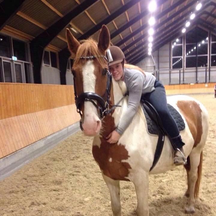 Anden særlig race Ramon (Monse) billede 5