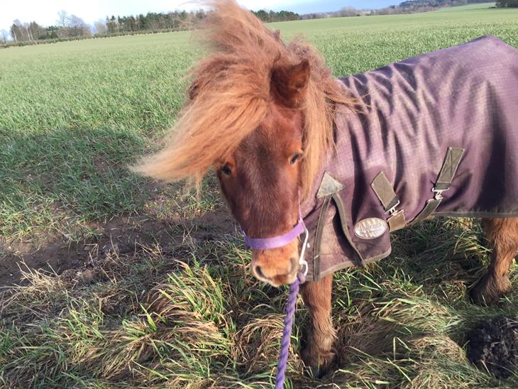 {{currentPhoto.altText}} billede {{currentPhoto.number}}