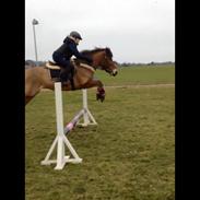 Anden særlig race Bella Luna