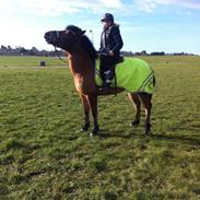 Anden særlig race Bella Luna