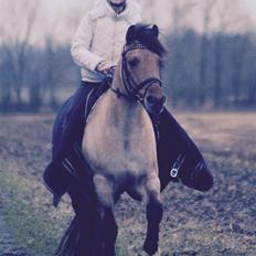 Anden særlig race Østergårds Baloo