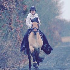 Anden særlig race Østergårds Baloo