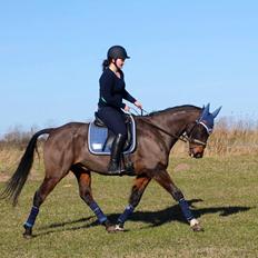 Traver Julius R.I.P :'(