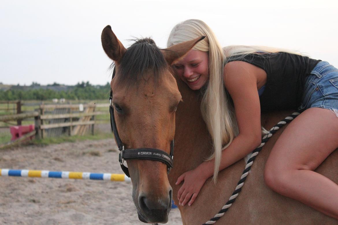 Anden særlig race Bøgelunds O'Conner - Da jeg have ham med i sommerhus :D Sommerferie 2014 billede 2