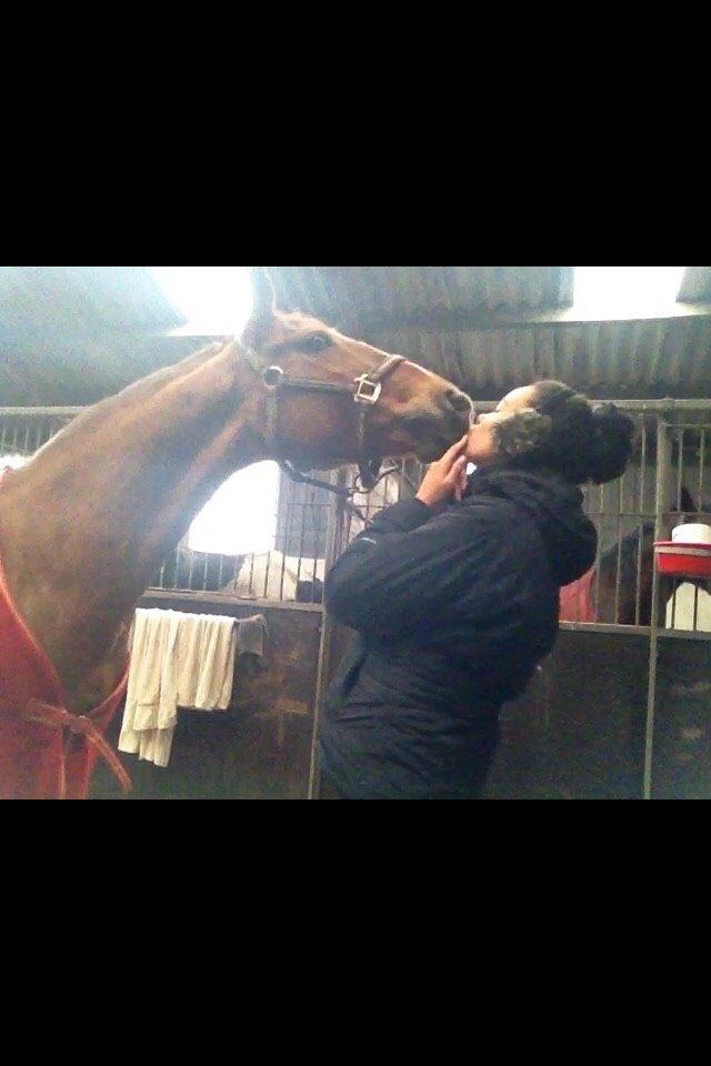 Anden særlig race Milla billede 10