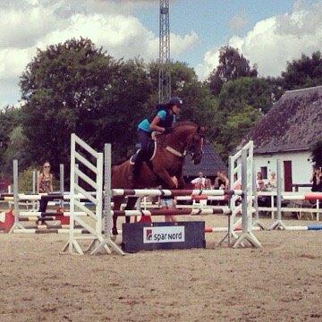 Anden særlig race Milla billede 16