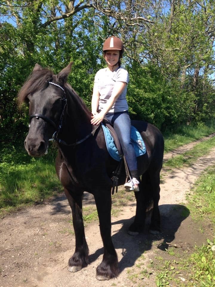 Anden særlig race Agathe billede 7