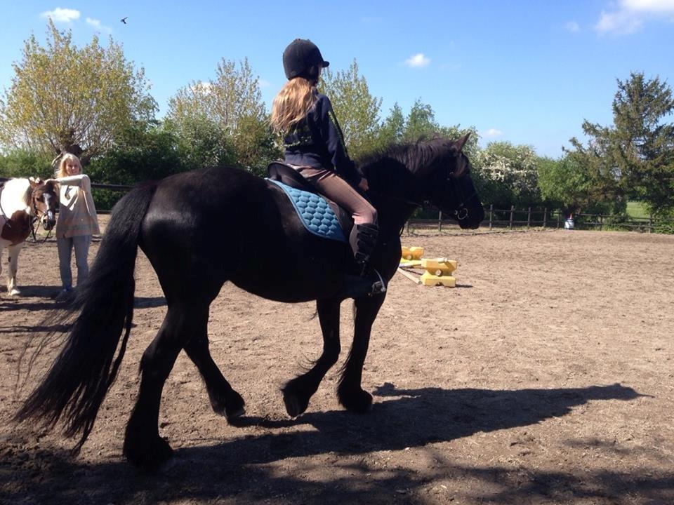 Anden særlig race Agathe billede 19