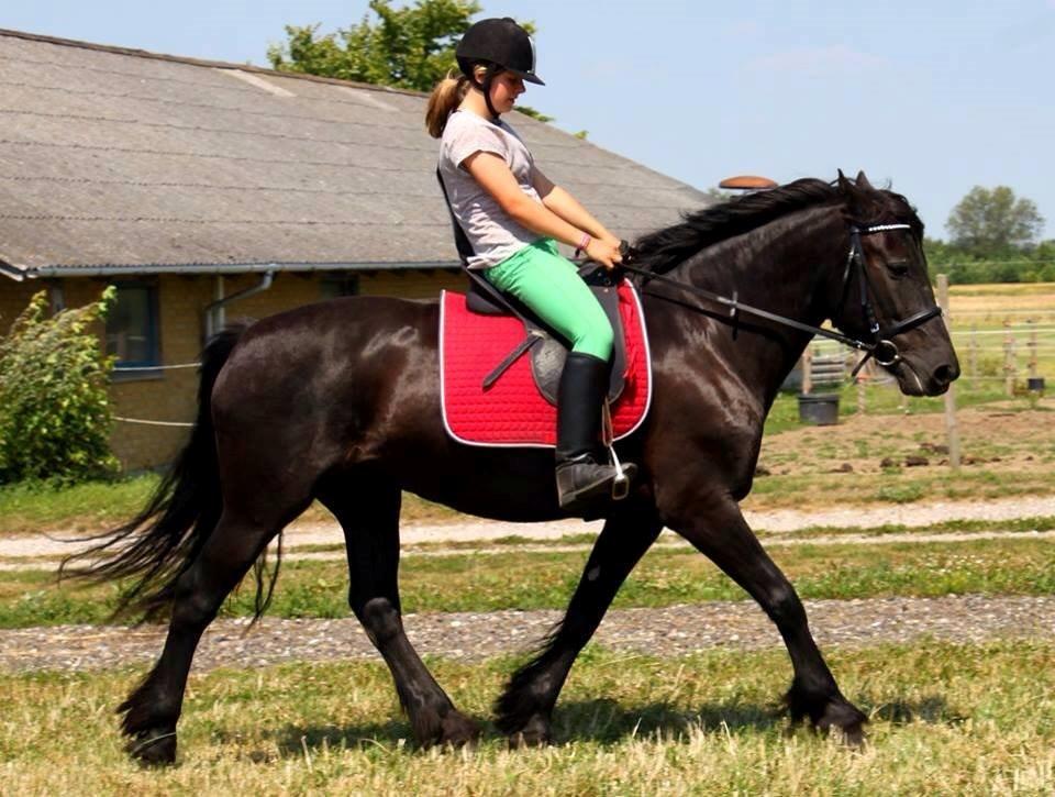 Anden særlig race Agathe billede 3