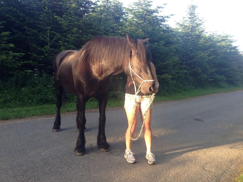Anden særlig race Agathe billede 20