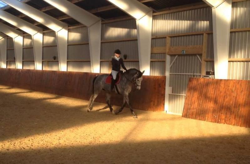 Holstener Cera Lyngriis billede 6