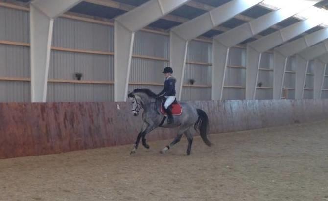 Holstener Cera Lyngriis billede 5