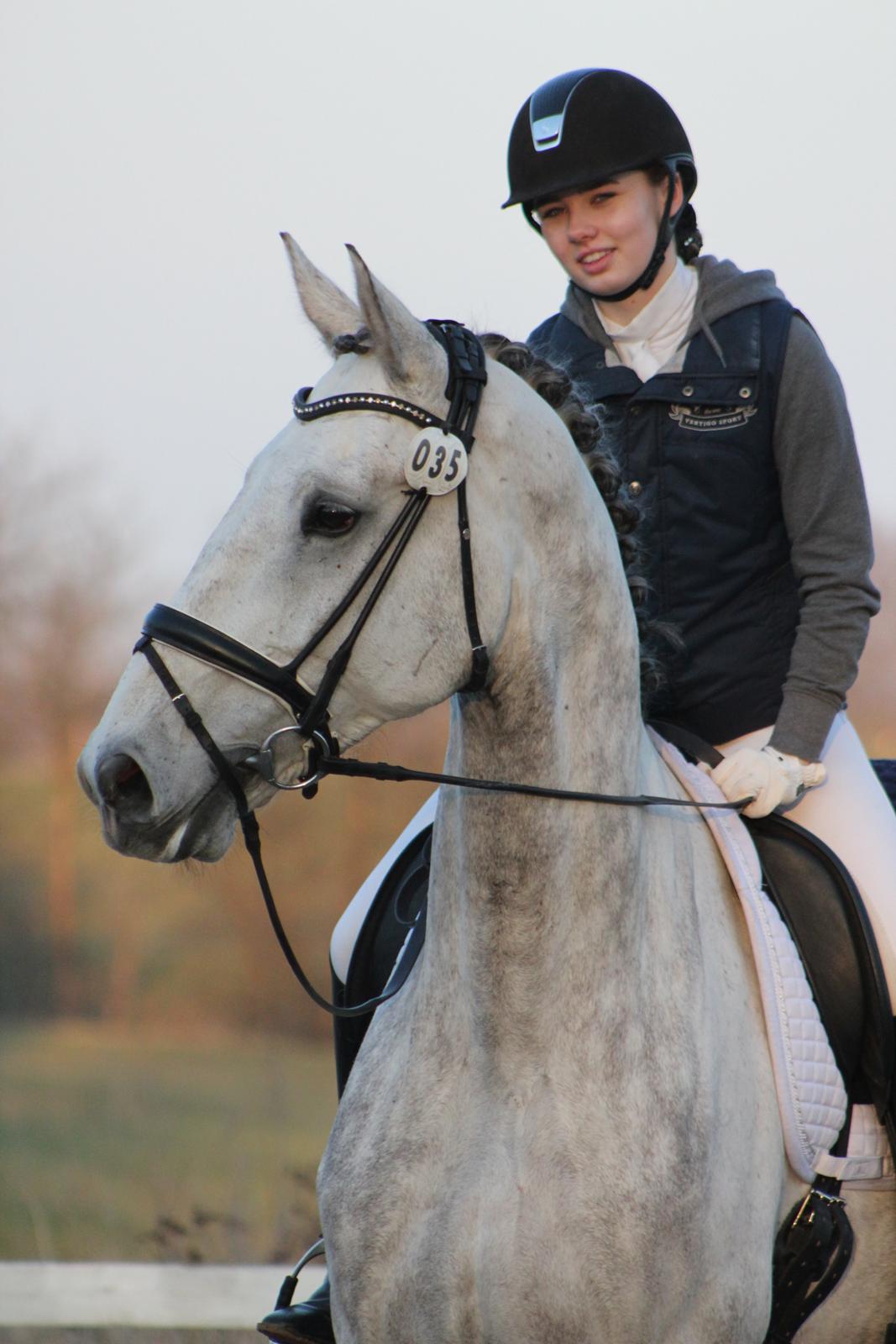 Dansk Varmblod Schubang Agerled - Lækker dreng efter vores anden LA1 d.08/03-15 <3 billede 6