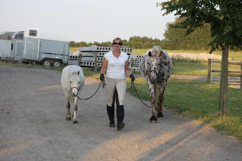 Welsh Mountain (sec A) Meadow's Whipster - Whipster, min mor og hendes hest billede 19