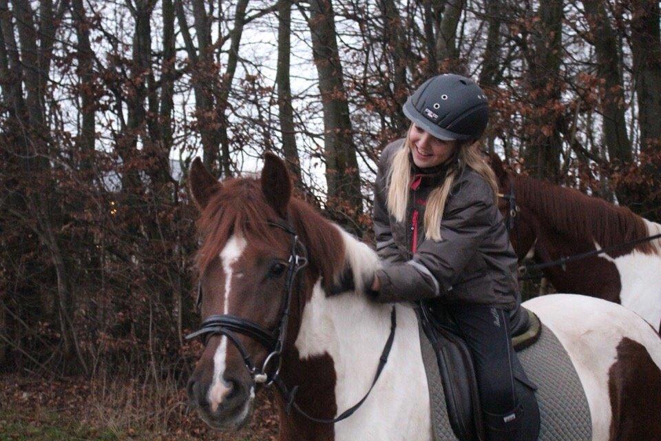 Anden særlig race Leopold - Et af de første billeder med ham. Januar 2015 billede 10