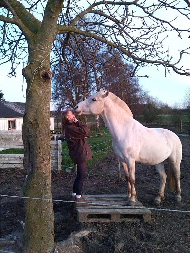 Anden særlig race luatello billede 17