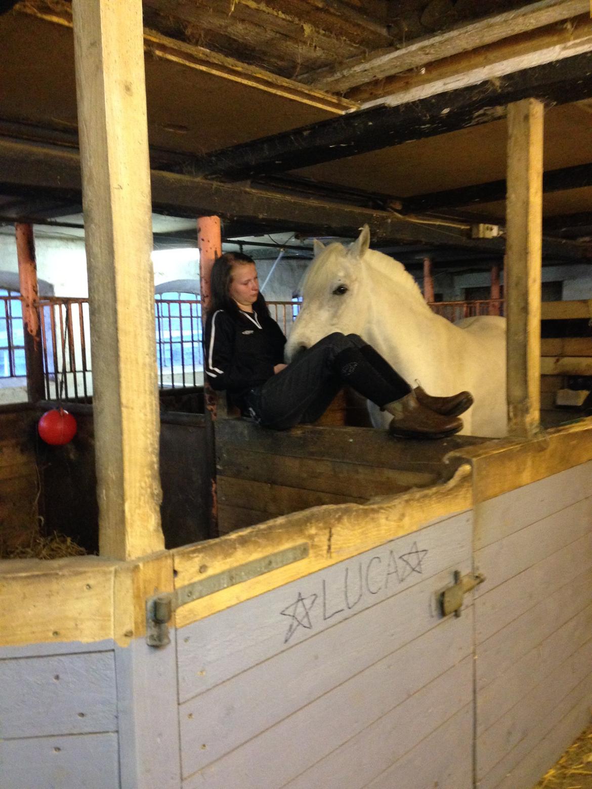 Anden særlig race luatello billede 20