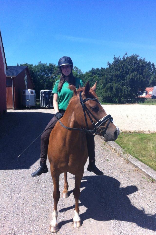 Connemara Amanda billede 9