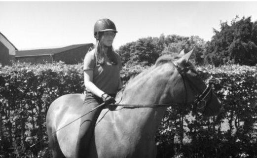 Connemara Amanda billede 10