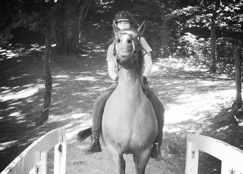 Connemara Amanda billede 8