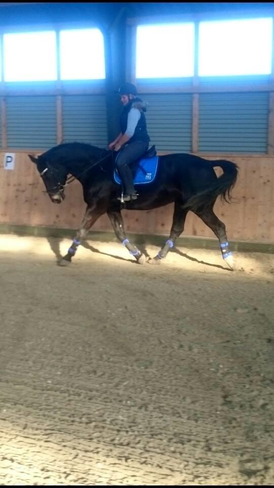 Oldenborg Schousboes Fie billede 9