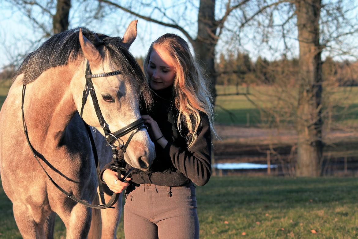 Anden særlig race Esico  billede 5