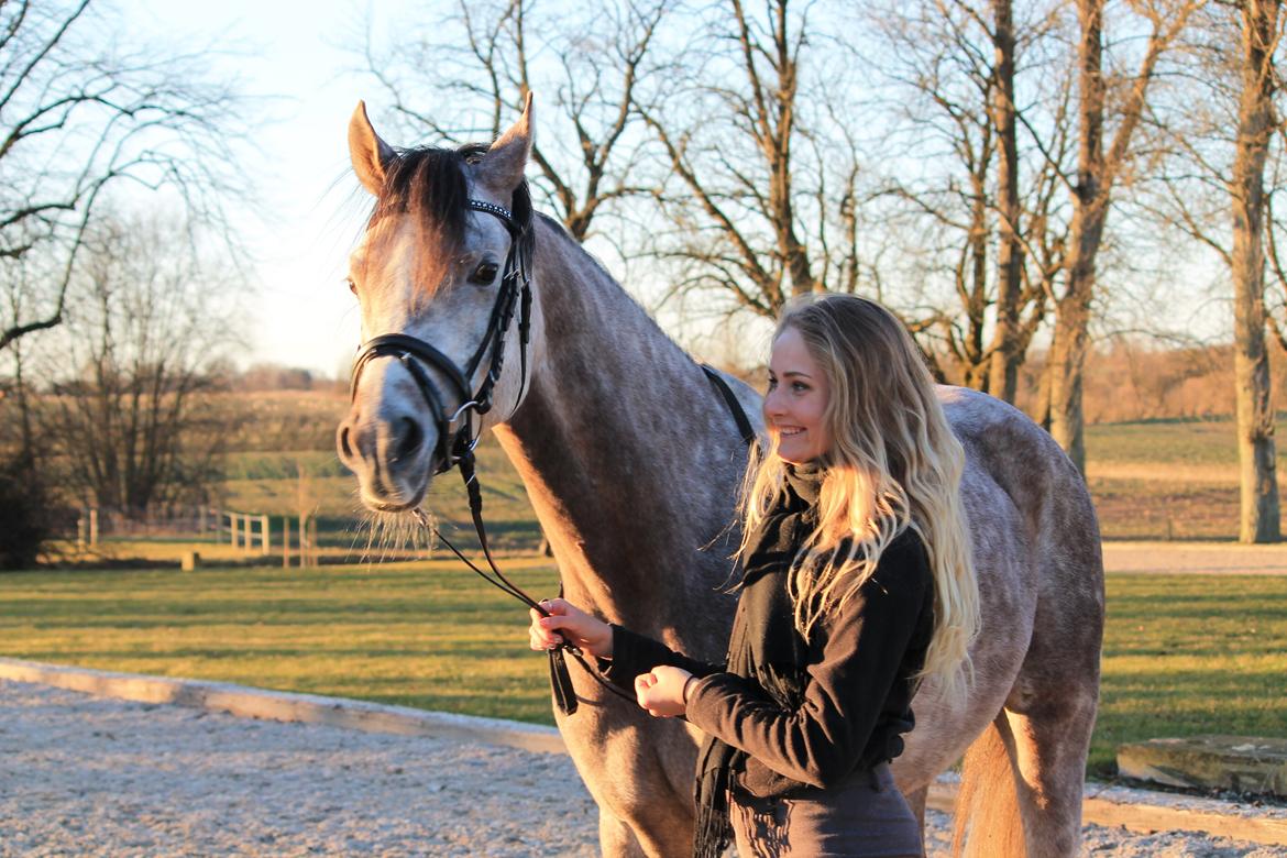 Anden særlig race Esico  billede 6