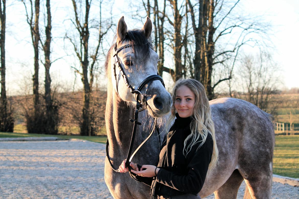 Anden særlig race Esico  - ''Hold kæft hvor er det herre wendy'' - citat Clara, min veninde (gøjserne, google det)  billede 3