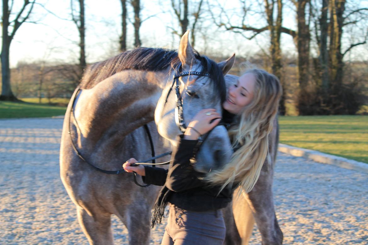 Anden særlig race Esico  billede 7