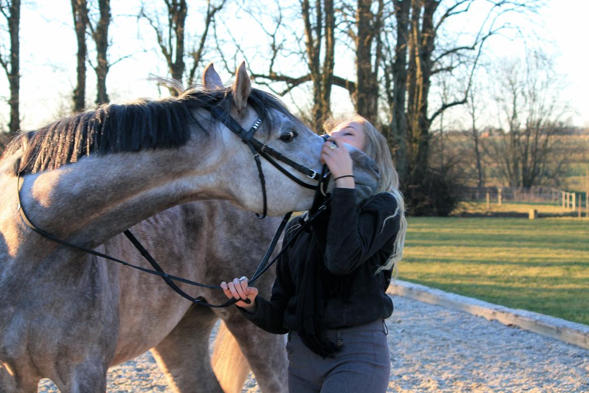 Anden særlig race Esico  billede 8