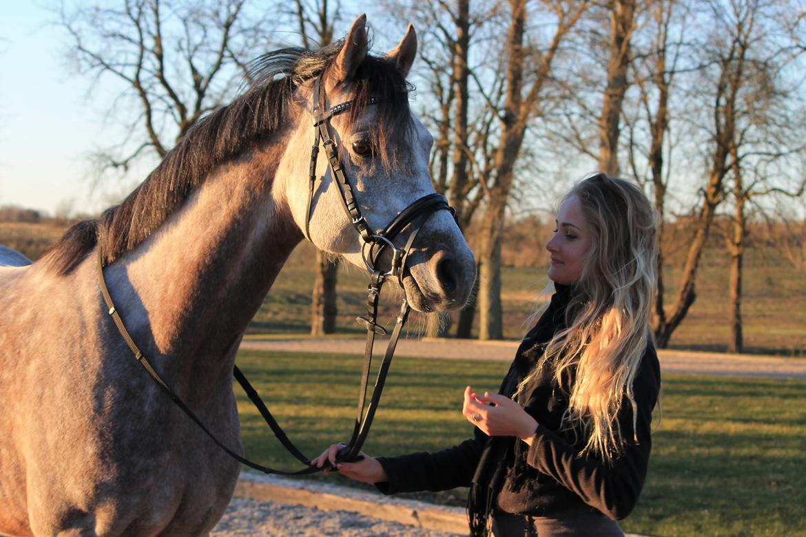 Anden særlig race Esico  billede 9