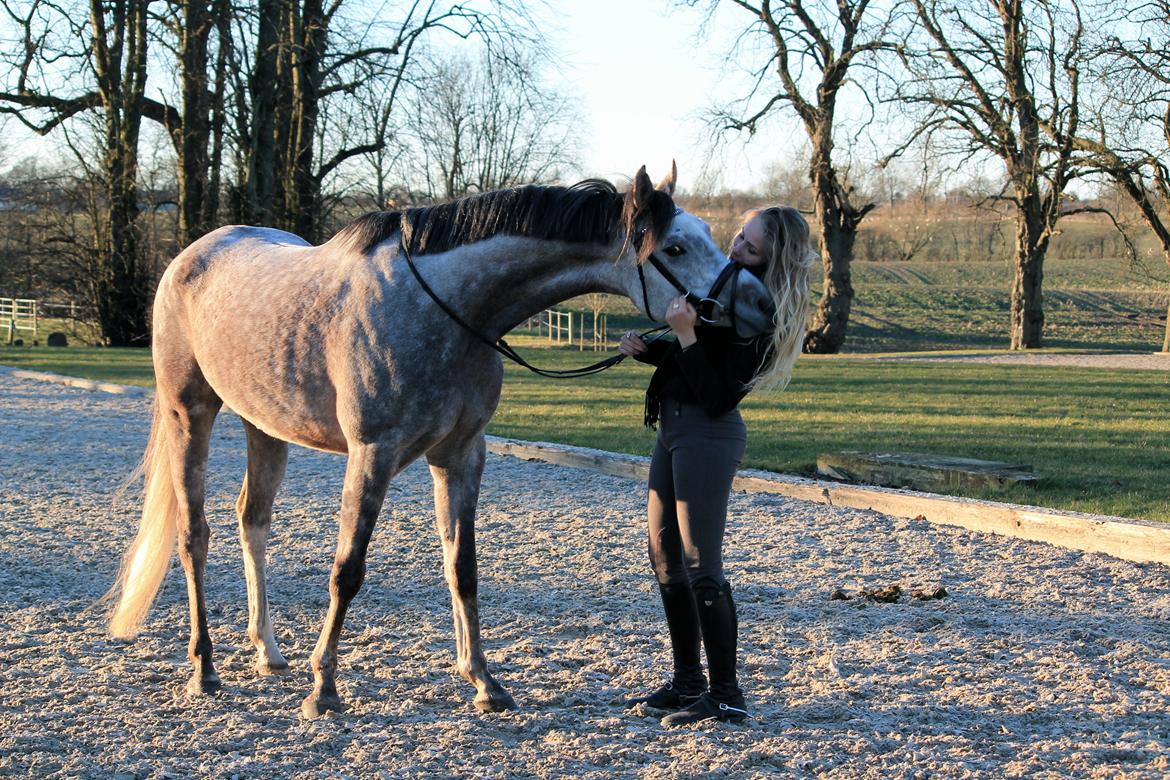 Anden særlig race Esico  billede 10