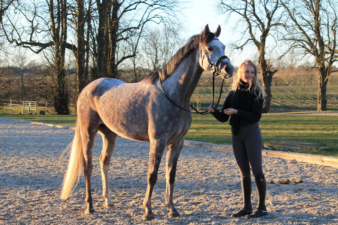 Anden særlig race Esico  billede 11